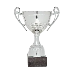 Ref. 1 - COPA Perth 31