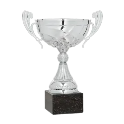 Ref. 3 - COPA Daegu 20