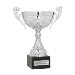 COPA Daegu ejemplo