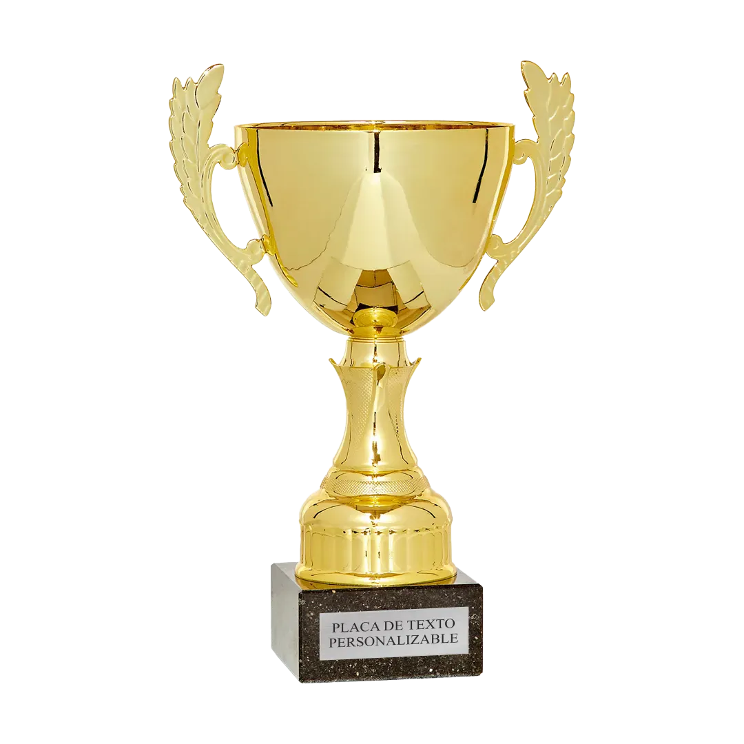Copa trofeo San Luis en Trofeos LeverySport