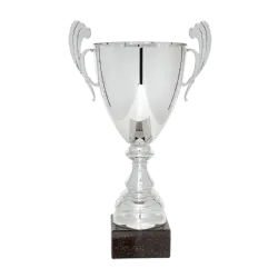 Ref. 4 - COPA Kuwait 36