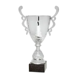 Ref. 3 - COPA Nanchang 40