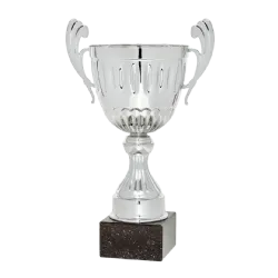 Copa trofeo Haifa