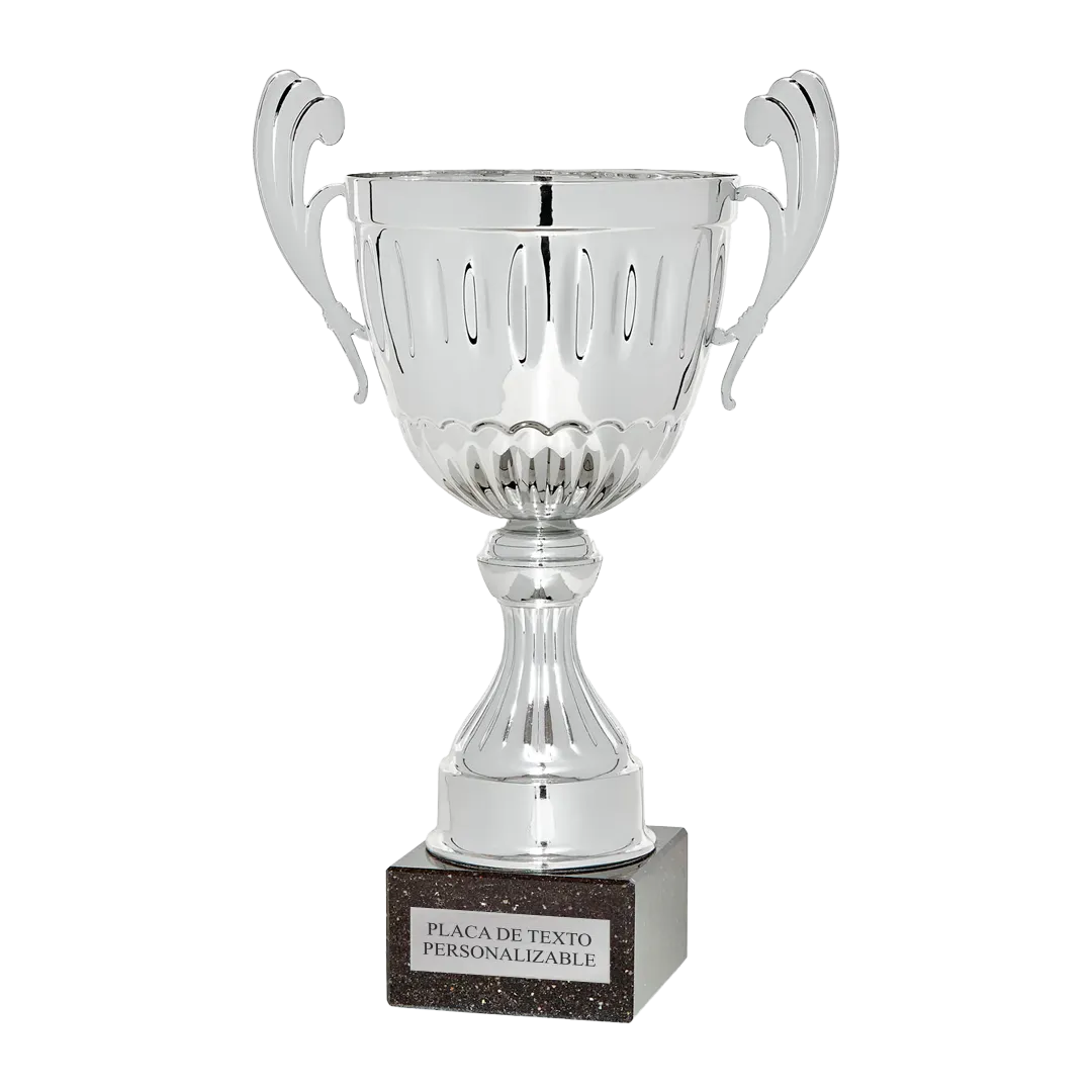 Copa trofeo Haifa ejemplo