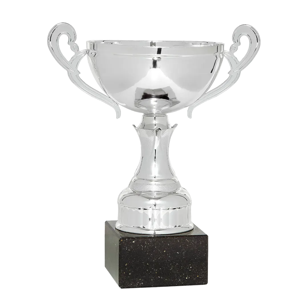 Copa trofeo Bristol