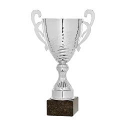Copa trofeo Ho Chi Minh