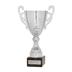 Copa trofeo Ho Chi Minh ejemplo