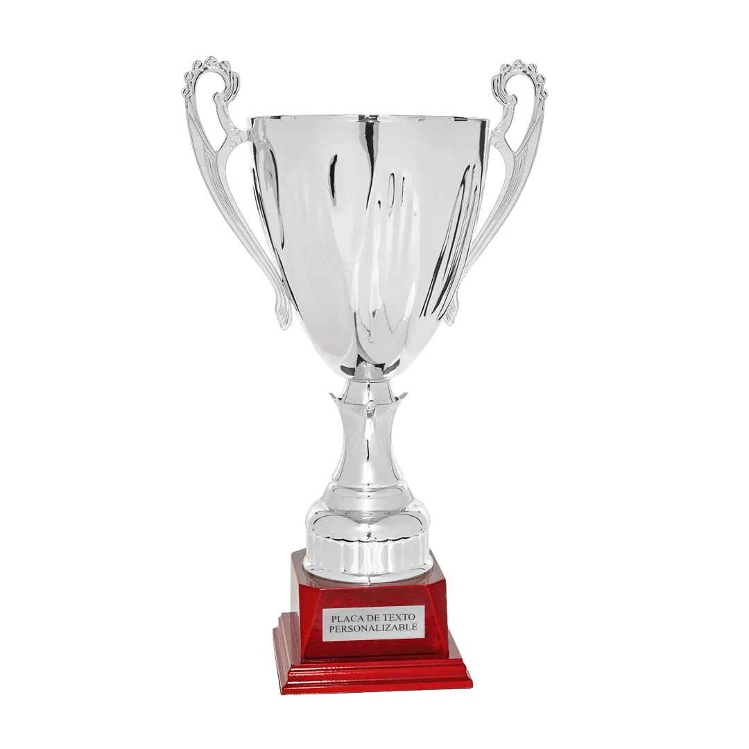 Copa trofeo Shantou ejemplo