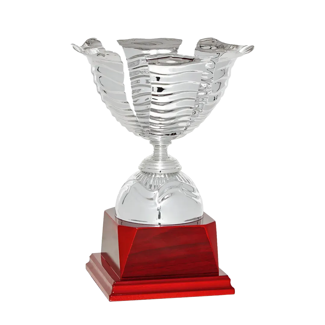 Copa trofeo Kunming
