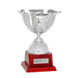 Copa trofeo Kunming ejemplo