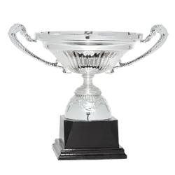 Copa trofeo Daejeon