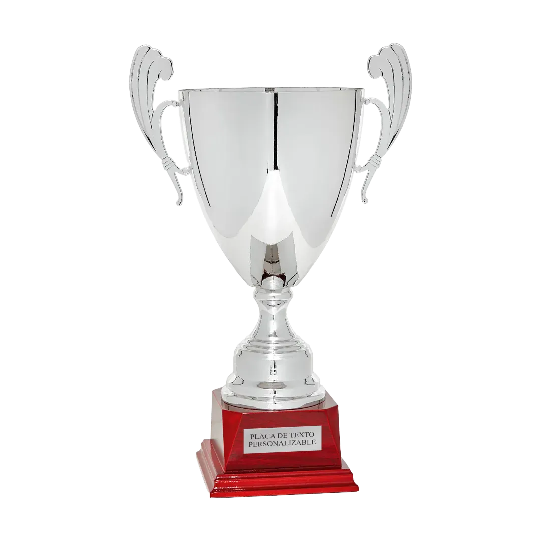 Copa trofeo Utrecht ejemplo