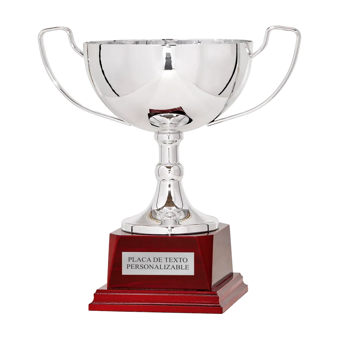 Copa trofeo Belo Horizonte ejemplo