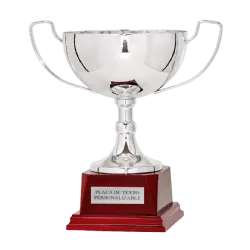 Copa trofeo Belo Horizonte ejemplo