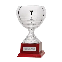 Copa trofeo Ekaterimburgo ejemplo