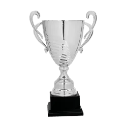 Copa trofeo Lausana