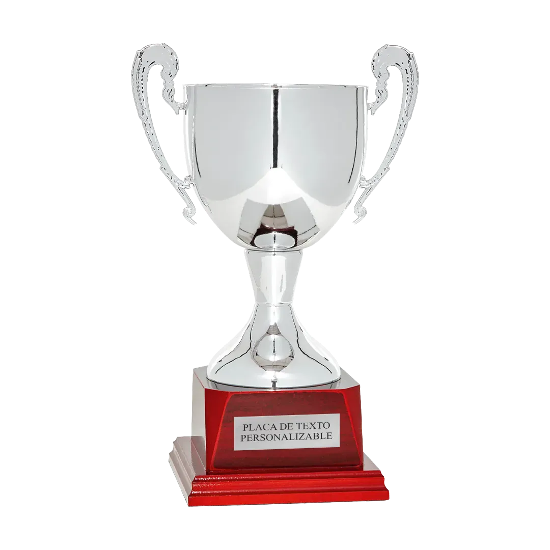 Copa trofeo Bremen en Trofeos LeverySport