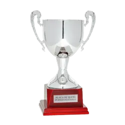 Copa trofeo Bremen ejemplo
