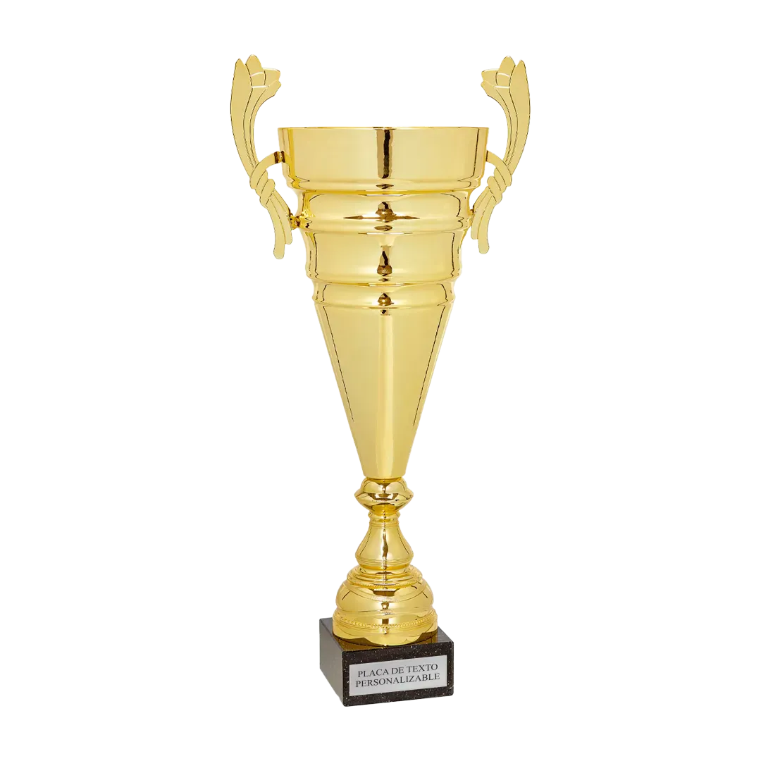 Copa trofeo Puebla ejemplo