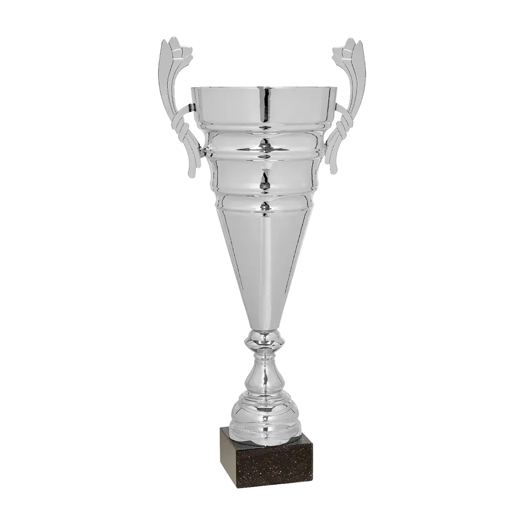 Copa trofeo Huizhou