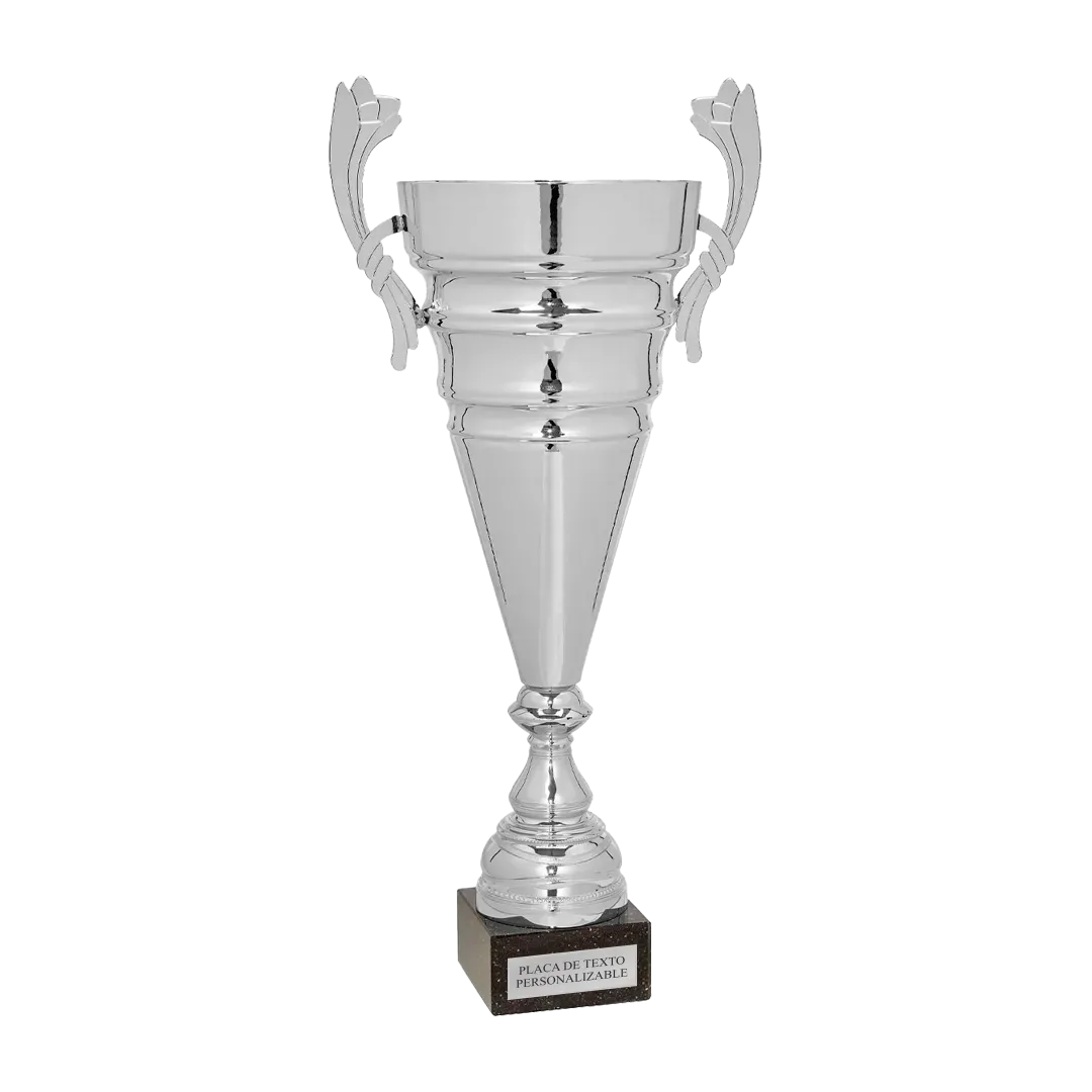 Copa trofeo Huizhou ejemplo
