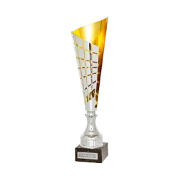 Copa trofeo Niza ejemplo
