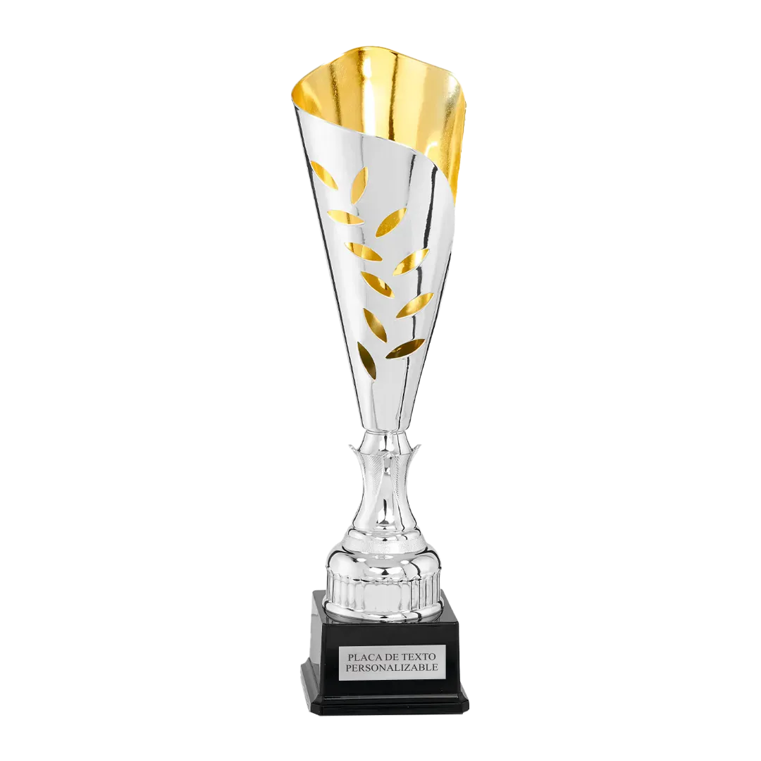 Copa trofeo Saitama ejemplo