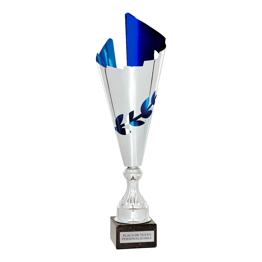 Copa trofeo Curitiba en Trofeos LeverySport