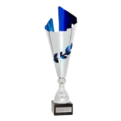 Copa trofeo Curitiba ejemplo