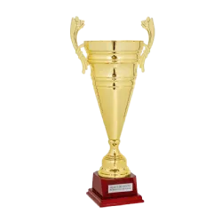Copa trofeo Kansas ejemplo