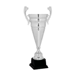 Copa trofeo Mánchester