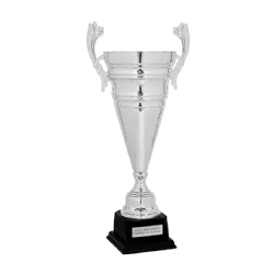 Copa trofeo Mánchester ejemplo