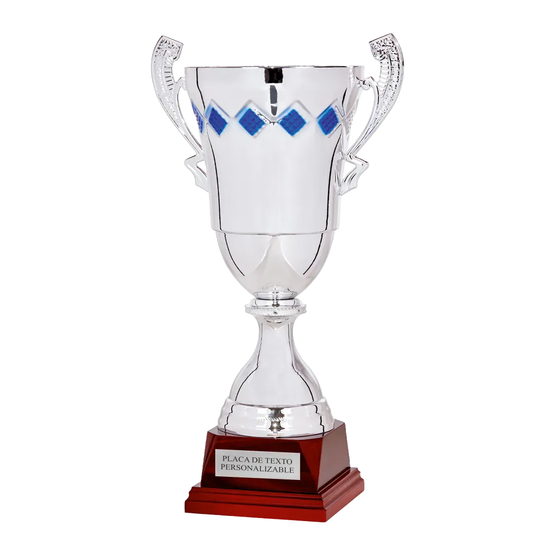 Copa trofeo Hyderabad en Trofeos LeverySport