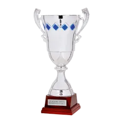 Copa trofeo Hyderabad ejemplo