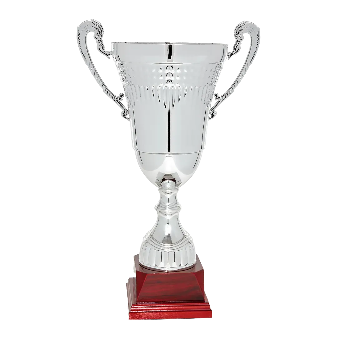 Copa trofeo Foshan
