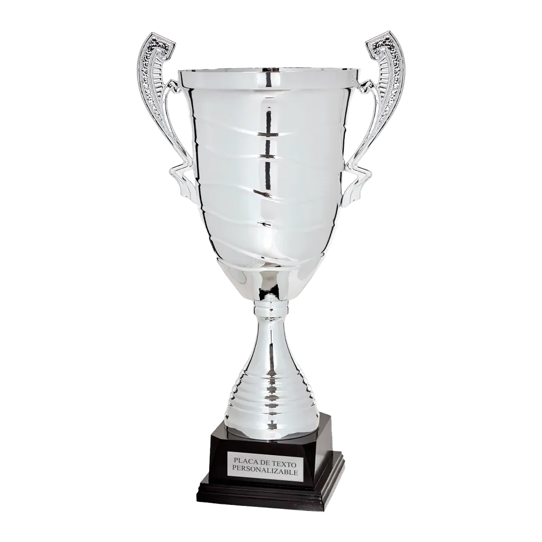 Copa trofeo Niigata en Trofeos LeverySport