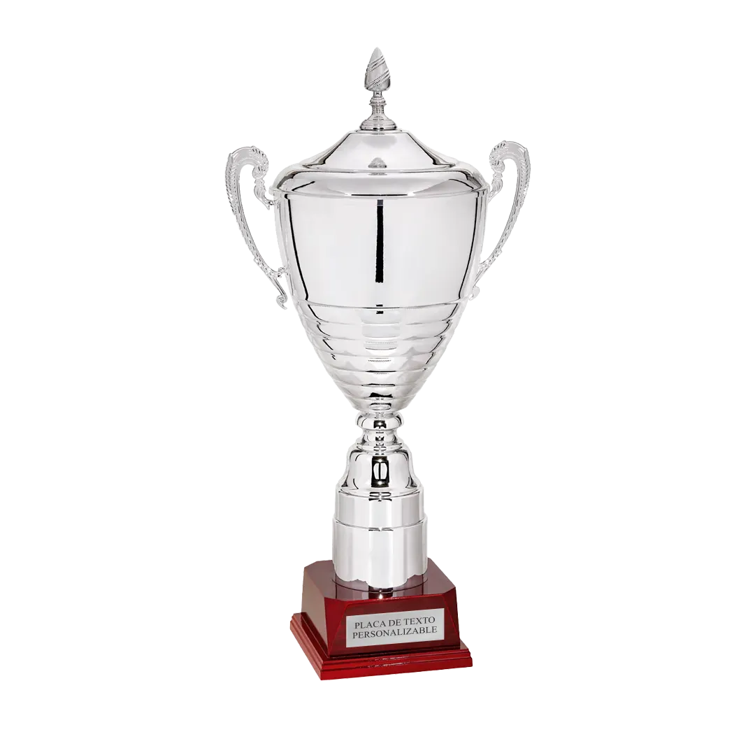 Copa trofeo Eindhoven ejemplo