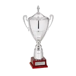 Copa trofeo Eindhoven ejemplo