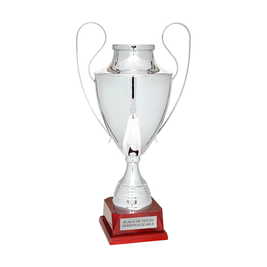 Copa trofeo Nizhni Novgorod ejemplo