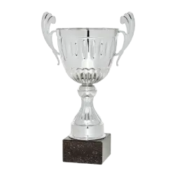 Ref. 3 - Copa trofeo Haifa 32cmx140mm