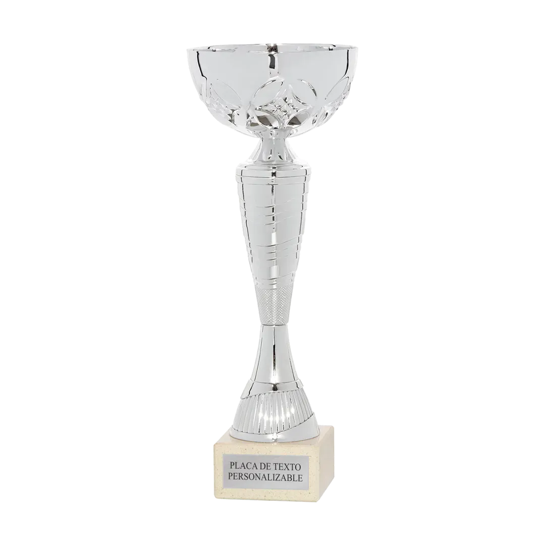 Copa Linz en Trofeos LeverySport