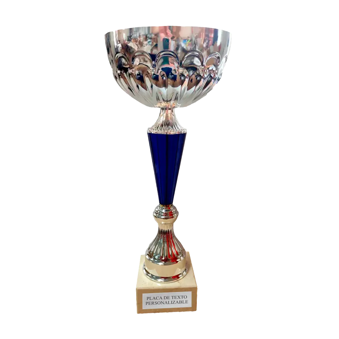 Copa Dallas en Trofeos LeverySport