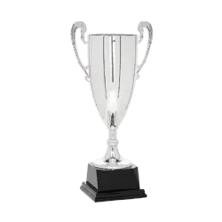 Ref. 3 - Copa Desplaines 28cm
