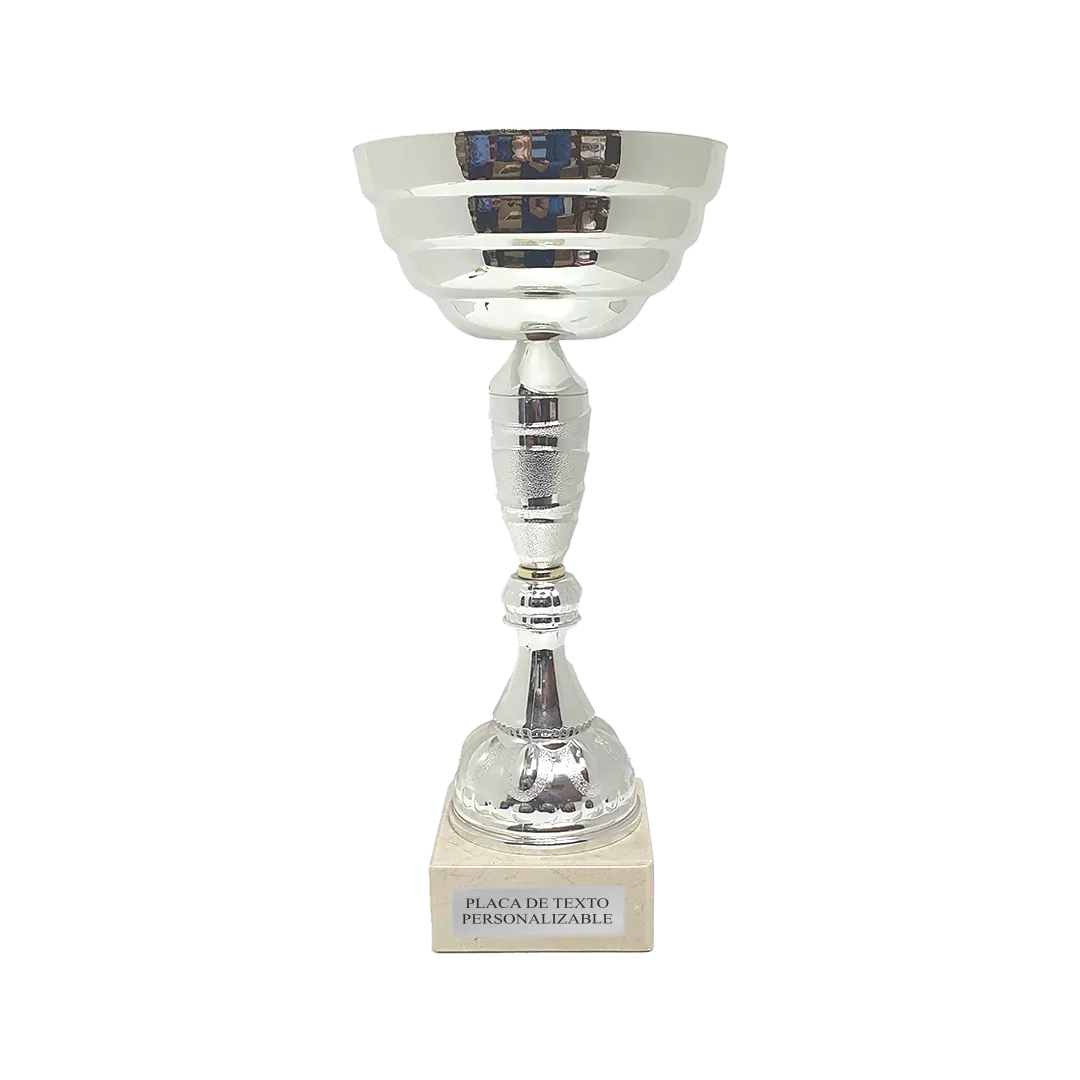 Copa Nueva Orleans en Trofeos LeverySport