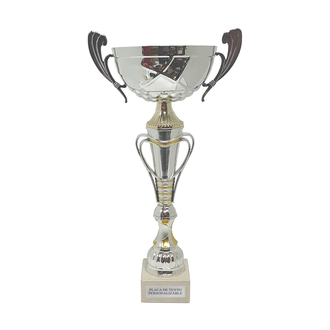 Copa Porto Alegre en Trofeos LeverySport