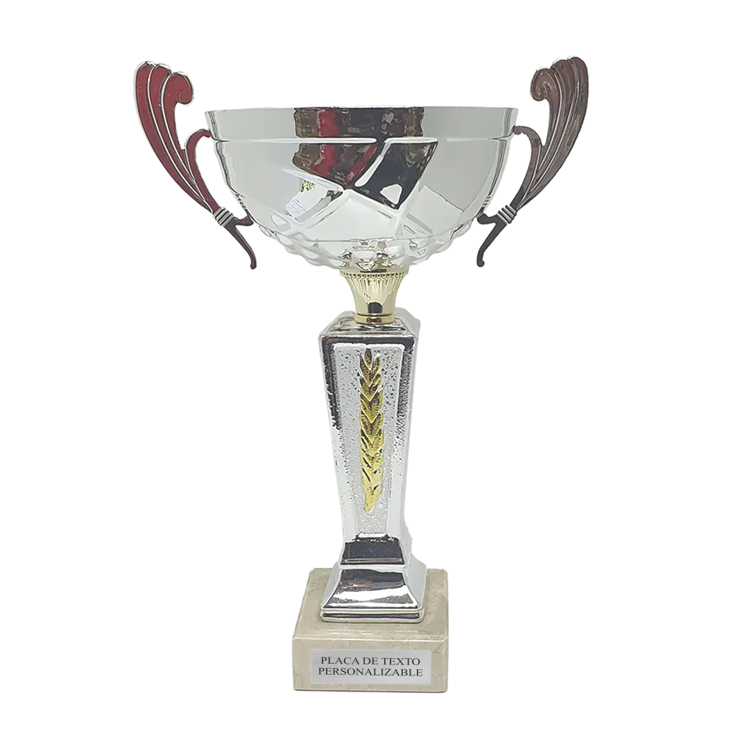 Copa Dayton en Trofeos LeverySport