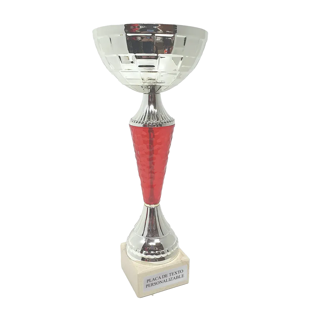 Copa Adis Abeba en Trofeos LeverySport