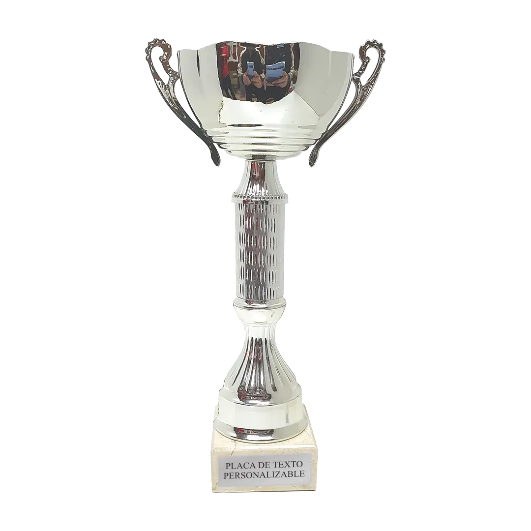 Copa Toledo en Trofeos LeverySport