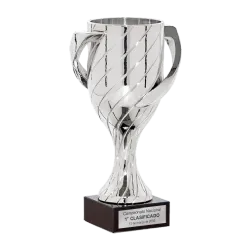 Copa Bellevue ejemplo