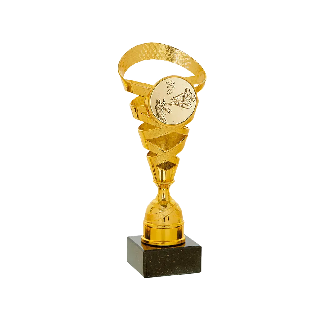 Copa Bloomington 24cm 